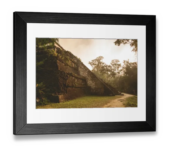 Framed Print : Tikal. Sunrise at the Tikal temple complex just after the morning fog lifted Framed Print : Tikal. Sunrise at the Tikal temple complex just after the morning fog lifted