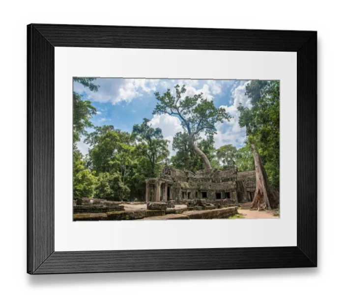 Framed Print : Ta Prohm temple, Siem Reap, Cambodia Framed Print : Ta Prohm temple, Siem Reap, Cambodia
