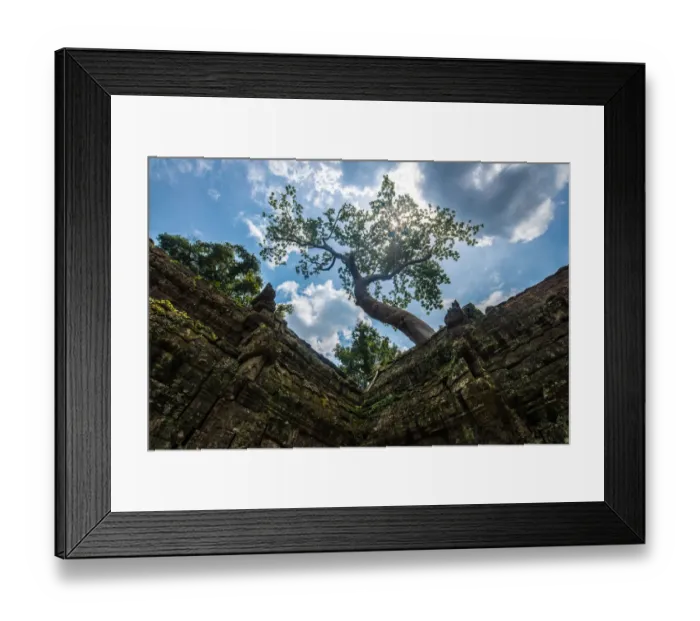 Framed Print : Ta Prohm temple, Siem Reap, Cambodia Framed Print : Ta Prohm temple, Siem Reap, Cambodia