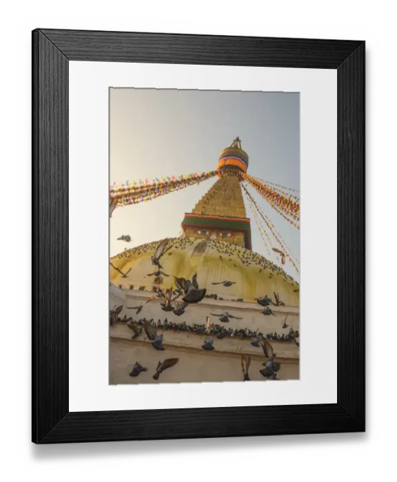 Framed Print : Boudhanath birds Framed Print : Boudhanath birds