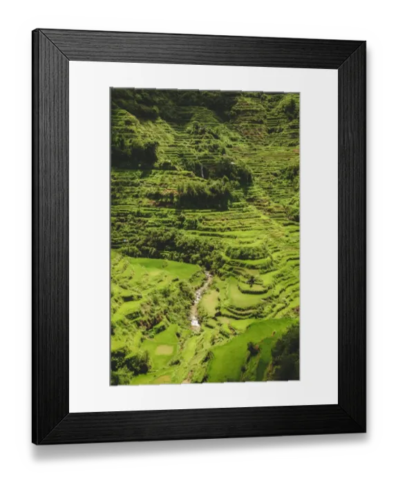Framed Print : Banaue. 2000 year old rice terraces carved into the mountains in Banaue, North Luzon Framed Print : Banaue. 2000 year old rice terraces carved into the mountains in Banaue, North Luzon