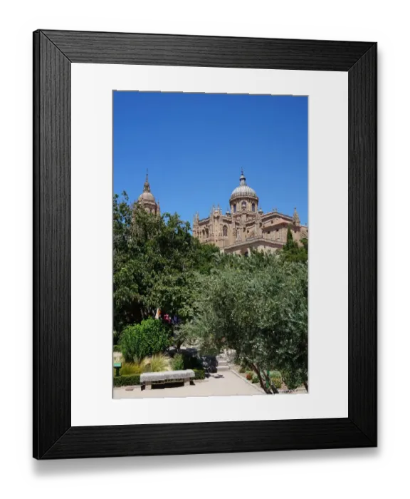 Framed Print : New Cathedral of Salamanca seen from Park, Spain Framed Print : New Cathedral of Salamanca seen from Park, Spain