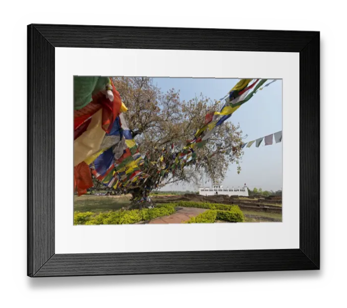 Framed Print : Maya Devi Temple, Lumbini, Nepal Framed Print : Maya Devi Temple, Lumbini, Nepal