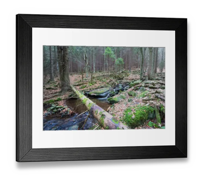 Framed Print : Forest brook (river) with moss covered stones, long exposure Framed Print : Forest brook (river) with moss covered stones, long exposure