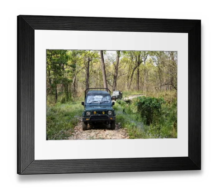 Framed Print : Chitwan National Park Safari, Nepal Framed Print : Chitwan National Park Safari, Nepal