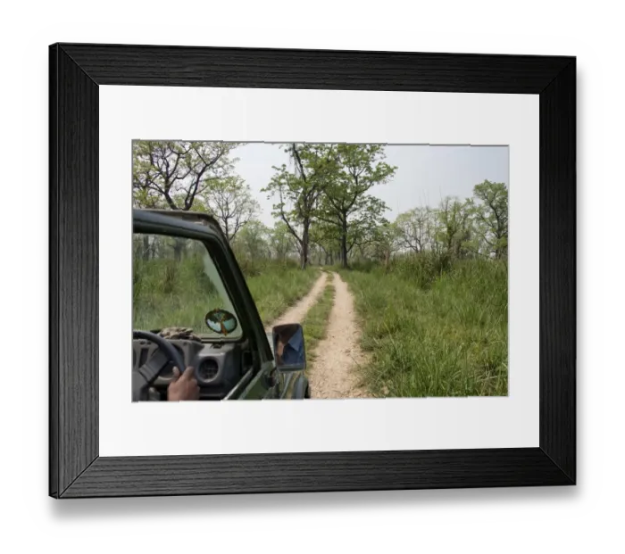 Framed Print : Chitwan National Park Safari, Terai Region, Nepal Framed Print : Chitwan National Park Safari, Terai Region, Nepal