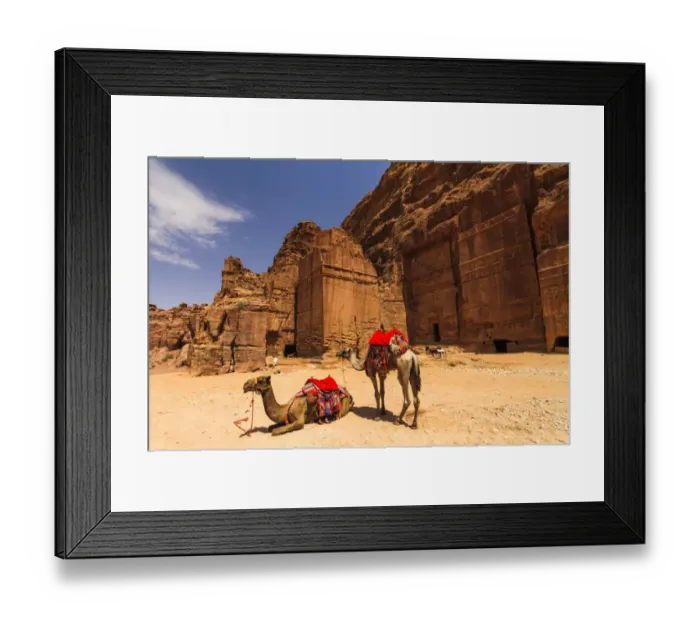 Framed Print : Camels near the tombs in Petra, Jordan Framed Print : Camels near the tombs in Petra, Jordan