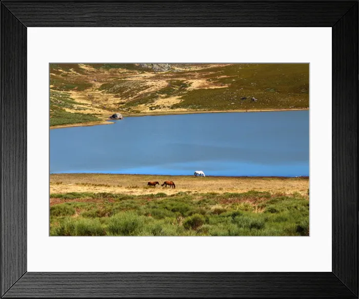 Framed Print : Laguna de los Peces in Sanabria Natural Park Framed Print : Laguna de los Peces in Sanabria Natural Park