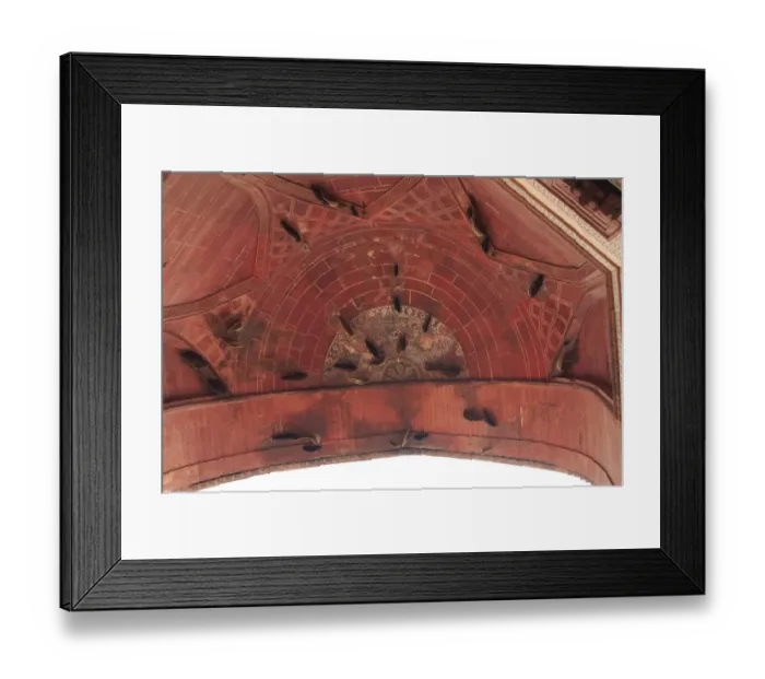 Framed Print : Bee hives inside the dome at Fatehpur Sikri