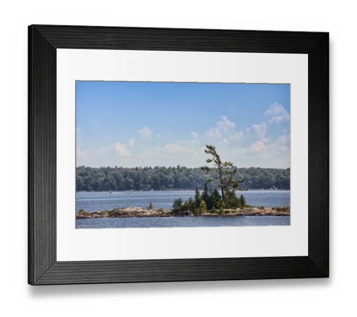 Framed Print : Group of trees on a small island Framed Print : Group of trees on a small island