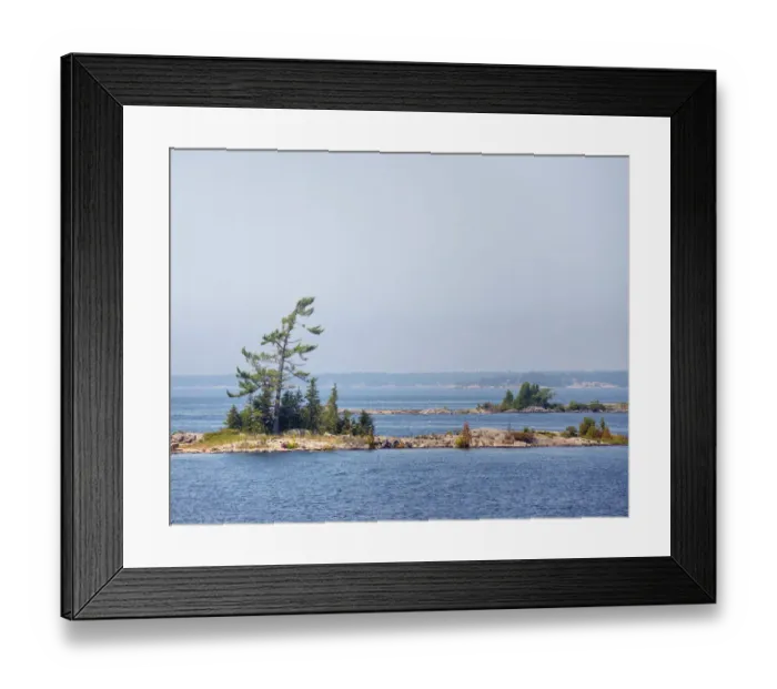 Framed Print : Tree on Sparse Small Rock Island