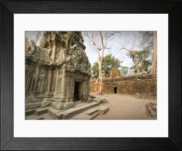 Framed Print : Ta Prohm temple, Khmer Empire, Cambodia Framed Print : Ta Prohm temple, Khmer Empire, Cambodia