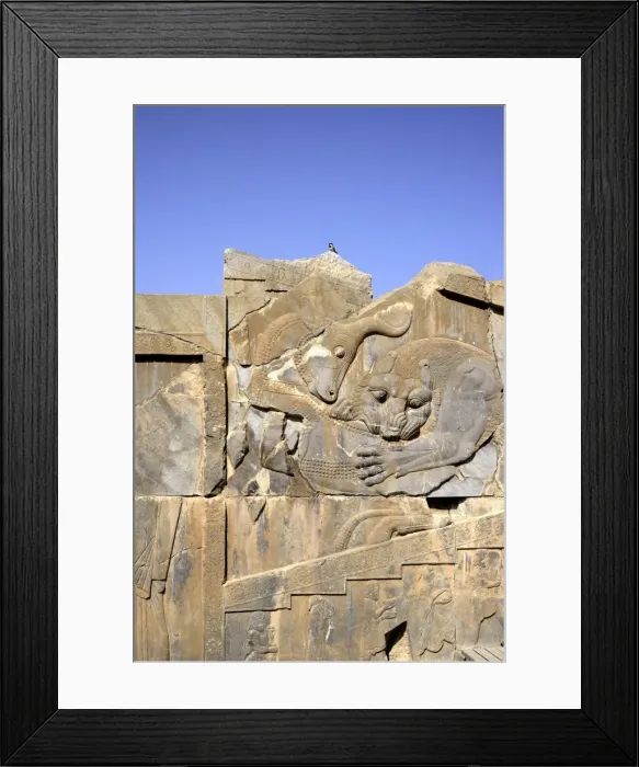 Framed Print : Bas-relief of lion devouring bull, Persepolis Framed Print : Bas-relief of lion devouring bull, Persepolis