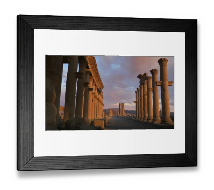 Framed Print : Palmyra, Syria Framed Print : Palmyra, Syria