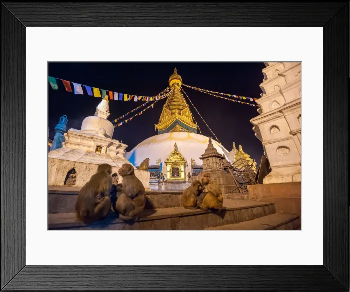 Framed Print : Swayambhunath and monkey Framed Print : Swayambhunath and monkey