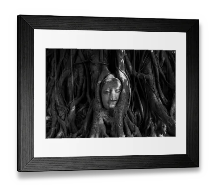 Framed Print : Buddha Head in Tree Roots, Wat Mahathat, Ayutthaya Framed Print : Buddha Head in Tree Roots, Wat Mahathat, Ayutthaya