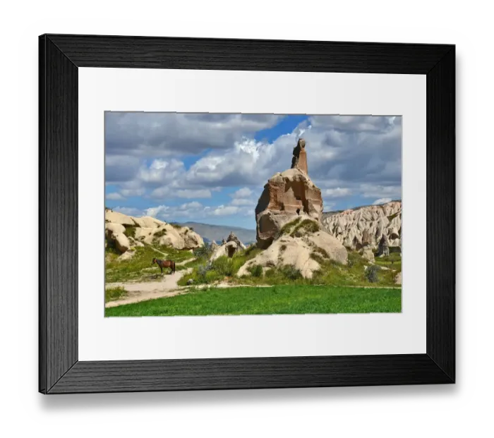 Framed Print : A Horse near Cappadocia Fairys Chimneys Framed Print : A Horse near Cappadocia Fairys Chimneys