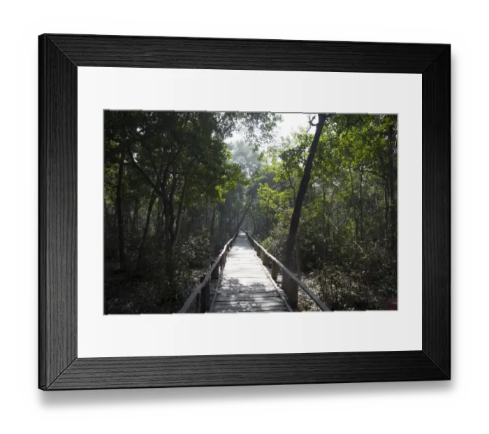 Framed Print : Sundarbans National Park Framed Print : Sundarbans National Park