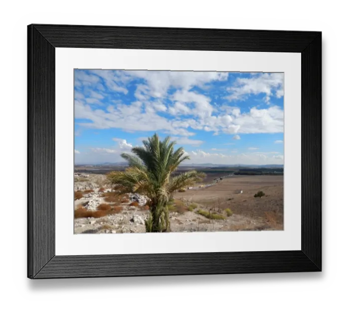 Framed Print : Young Palm tree, Megiddo Mound & the road eastward Framed Print : Young Palm tree, Megiddo Mound & the road eastward