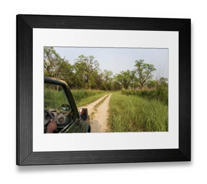 Framed Print : Chitwan National Park Safari Framed Print : Chitwan National Park Safari