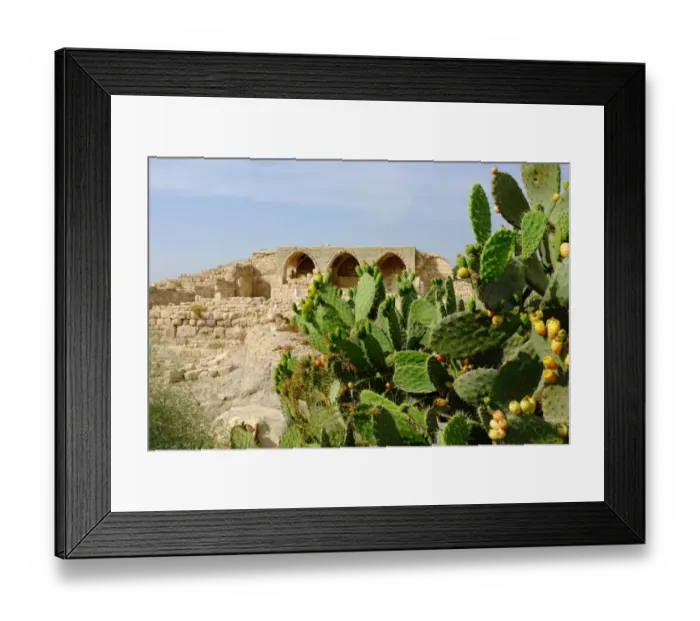 Framed Print : Wild Cactuses at the Crusader church Framed Print : Wild Cactuses at the Crusader church
