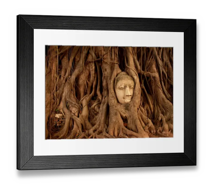 Framed Print : The Buddha Tree Framed Print : The Buddha Tree
