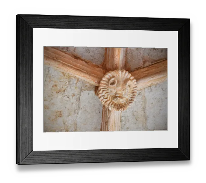 Framed Print : Lion keystone Framed Print : Lion keystone