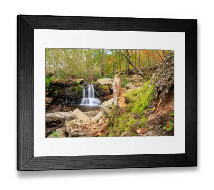 Framed Print : Autumn at Montseny Framed Print : Autumn at Montseny