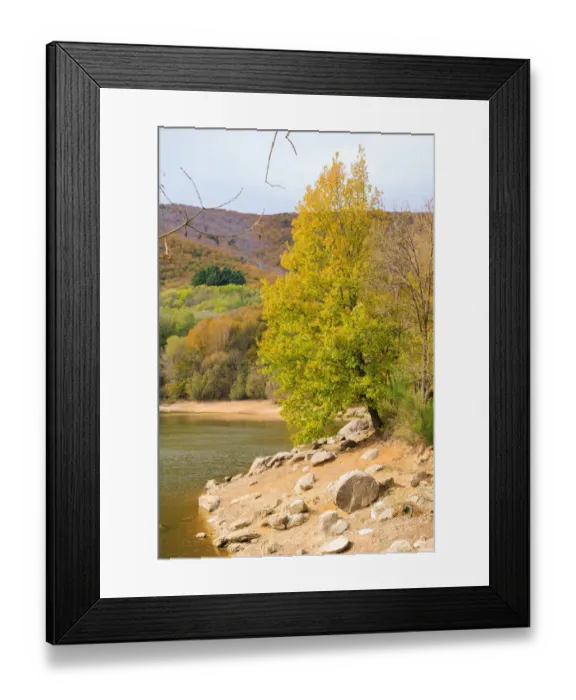 Framed Print : Autumn at Montseny Framed Print : Autumn at Montseny