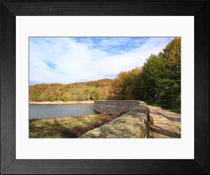Framed Print : Autumn at Montseny Framed Print : Autumn at Montseny
