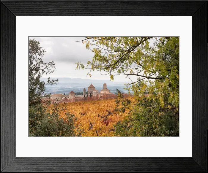 Framed Print : Monastery of Poblet Framed Print : Monastery of Poblet