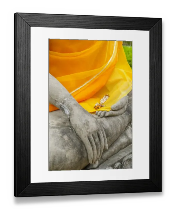 Framed Print : Ancient Capitals in Ayutthaya Framed Print : Ancient Capitals in Ayutthaya