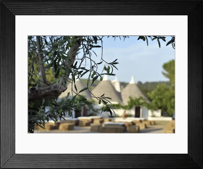 Framed Print : Trulli in countryside Framed Print : Trulli in countryside