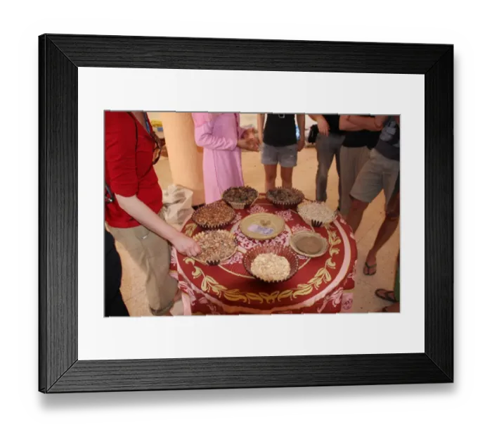 Framed Print : Argan nuts Framed Print : Argan nuts