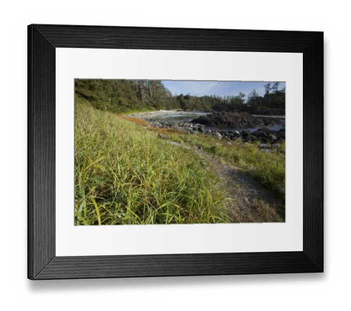 Framed Print : South Beach In Pacific Rim National Park Near Tofino