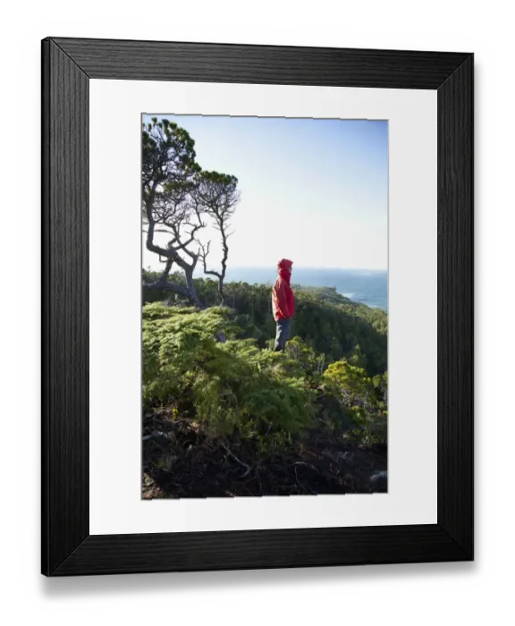 Framed Print : A Man Wearing A Red Jacket Looks Out At The View Of Cox Bay Near Tofino Framed Print : A Man Wearing A Red Jacket Looks Out At The View Of Cox Bay Near Tofino