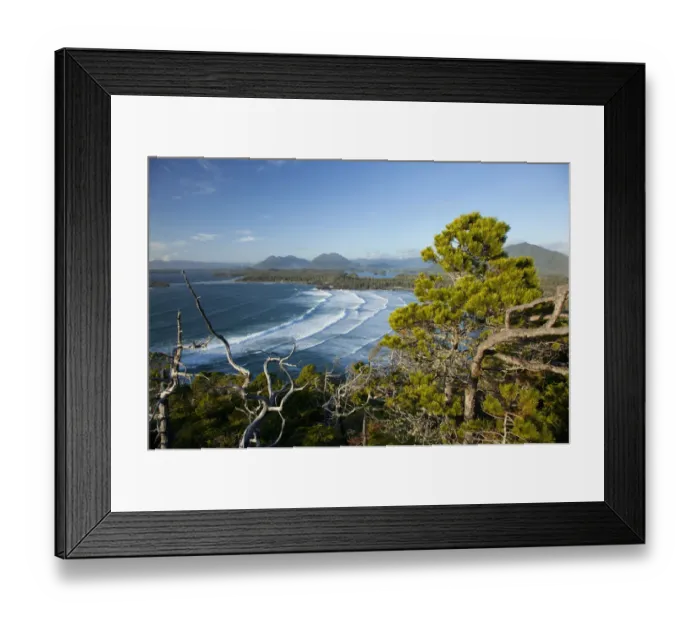Framed Print : The View Of Cox Bay And Surrounding Mountains And Temperate Rainforest Near Tofino Framed Print : The View Of Cox Bay And Surrounding Mountains And Temperate Rainforest Near Tofino