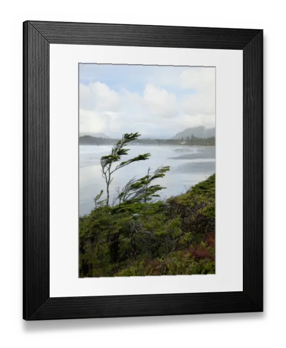 Framed Print : Cox Bay Near Tofino Framed Print : Cox Bay Near Tofino