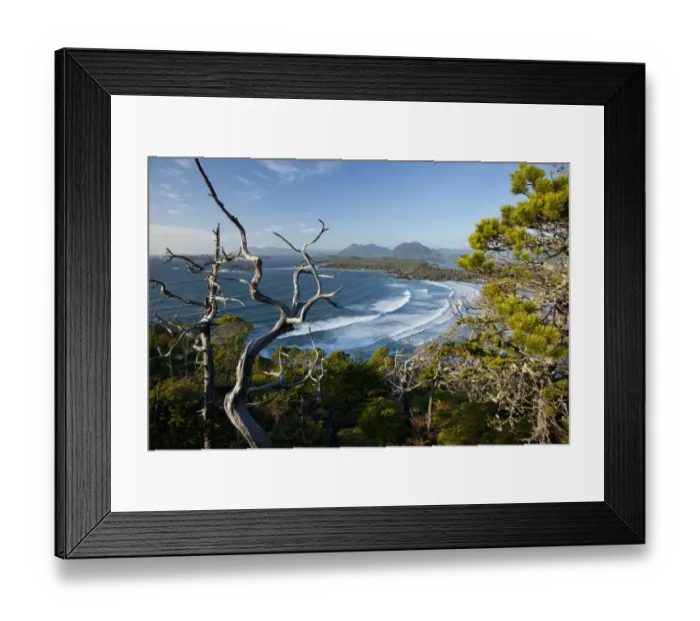 Framed Print : The View Of Cox Bay And Surrounding Mountains And Temperate Rainforest Near Tofino Framed Print : The View Of Cox Bay And Surrounding Mountains And Temperate Rainforest Near Tofino