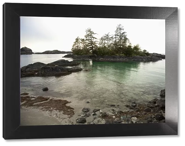 Ucluth Beach In The Wya Point Campground Near Ucluelet On Vancouver Island