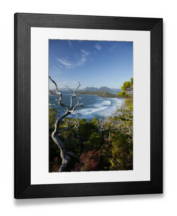 Framed Print : The View Of Cox Bay And Surrounding Mountains And Temperate Rainforest Near Tofino Framed Print : The View Of Cox Bay And Surrounding Mountains And Temperate Rainforest Near Tofino