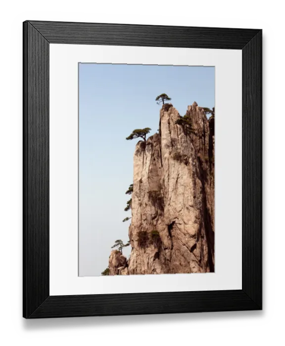 Framed Print : Pine trees on Huangshan Mountain, China Framed Print : Pine trees on Huangshan Mountain, China