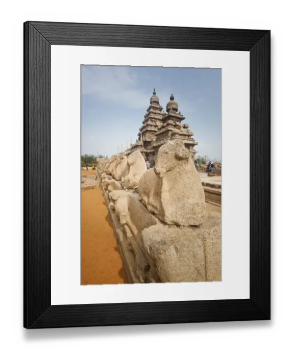 Framed Print : Sculptures of Nandi Bull around ancient Shore Temple at Mahabalipuram, Kanchipuram District, Tamil Nadu, India Framed Print : Sculptures of Nandi Bull around ancient Shore Temple at Mahabalipuram, Kanchipuram District, Tamil Nadu, India