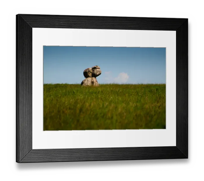 Framed Print : Landscape. Serengeti, Tanzania Framed Print : Landscape. Serengeti, Tanzania