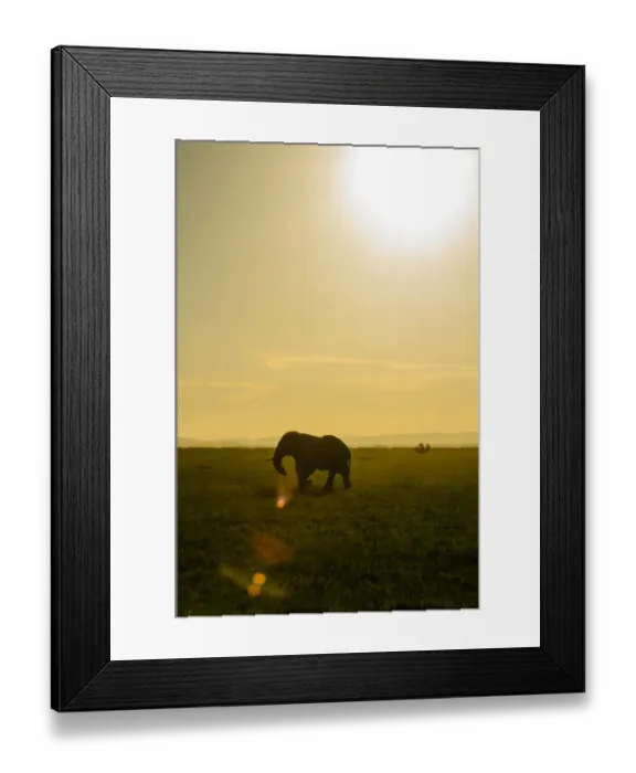 Framed Print : Elephant Silhouette