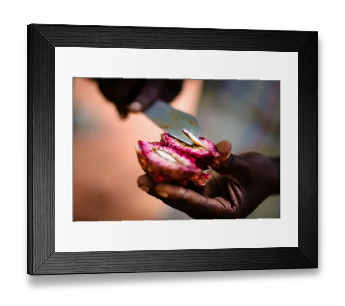 Framed Print : Slicing Almonds at a Spice Farm Framed Print : Slicing Almonds at a Spice Farm