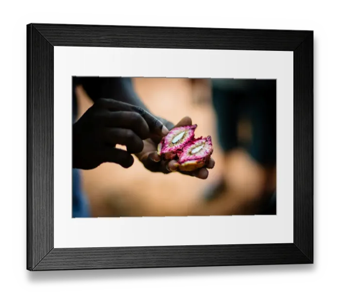 Framed Print : Almonds at a Spice Farm Framed Print : Almonds at a Spice Farm