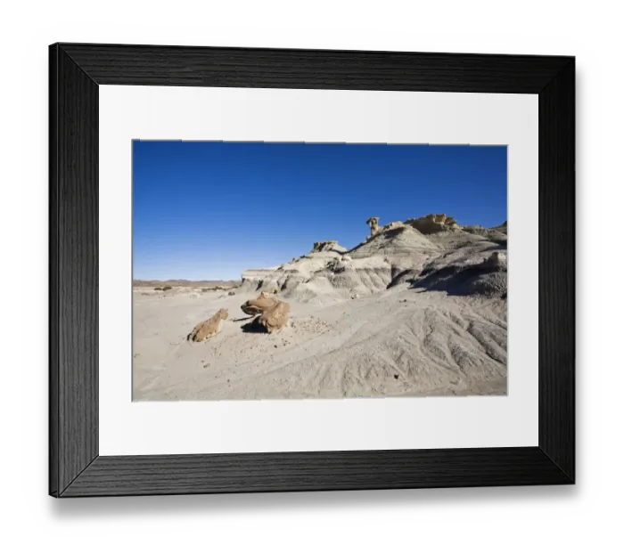 Framed Print : Bizarrely landscape at National Park Parque Provincial Ischigualasto, Central Andes, Argentina, South America Framed Print : Bizarrely landscape at National Park Parque Provincial Ischigualasto, Central Andes, Argentina, South America