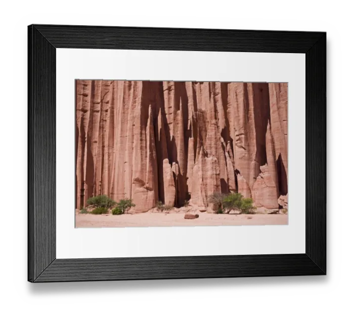 Framed Print : Sandstone canyon in the national park Parque Nacional, Talampaya, Argentina, South America Framed Print : Sandstone canyon in the national park Parque Nacional, Talampaya, Argentina, South America