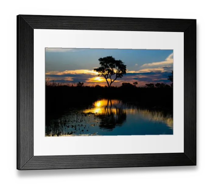 Framed Print : Tree of Life Framed Print : Tree of Life